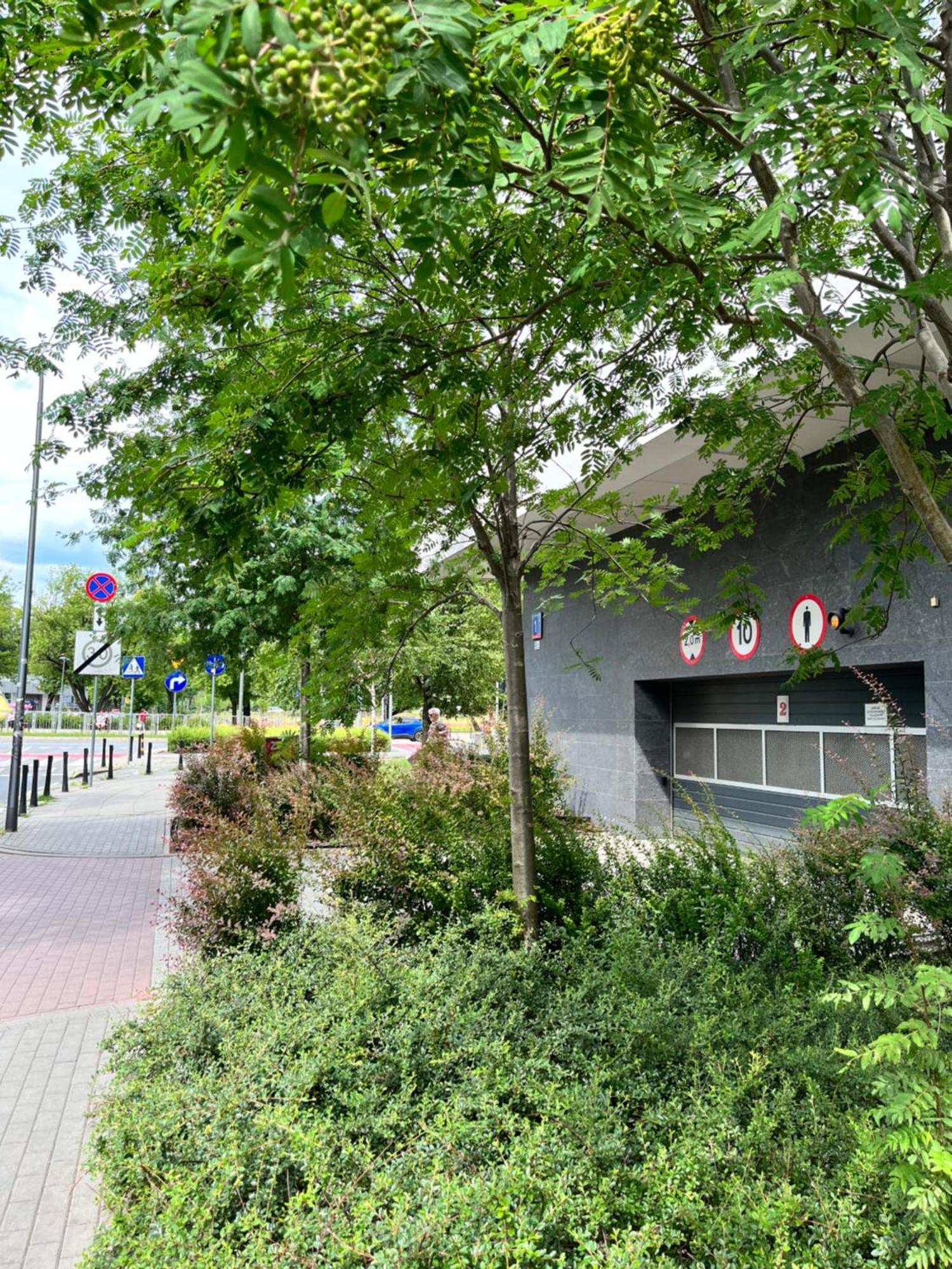 Apartment Metro Slodowiec Free Parking ワルシャワ エクステリア 写真
